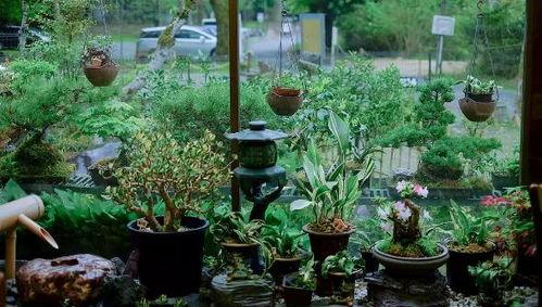 琉璃庭院,梦回古韵，探寻东方园林之美