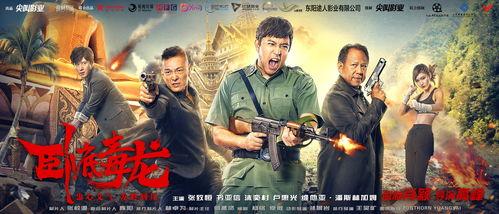 卧底毒龙,揭秘卧底警察的惊险卧底生涯