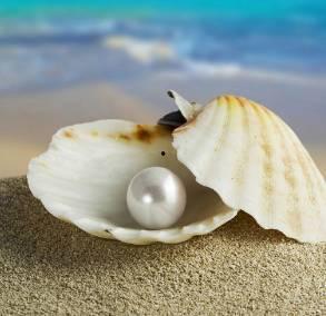 蚌女（珍珠房的秘密）,揭开珍珠房的神秘面纱